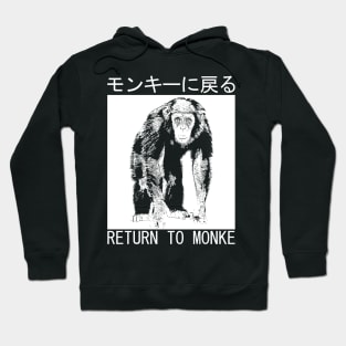 RETURN TO MONKE Japanese Hoodie